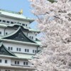 名古屋で転職　城と桜
