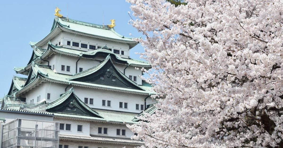 名古屋で転職　城と桜